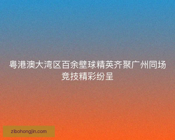 粤港澳大湾区百余壁球精英齐聚广州同场竞技精彩纷呈 粤港澳大湾区百余壁球精英齐聚广州同场竞技精彩纷呈